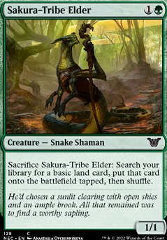 Featured card: Sakura-Tribe Elder