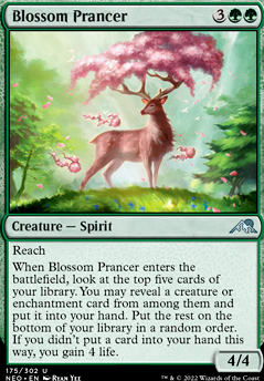 Blossom Prancer