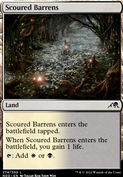 Scoured Barrens