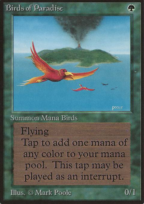 Featured card: Birds of Paradise