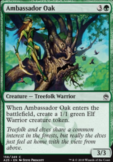 Ambassador Oak