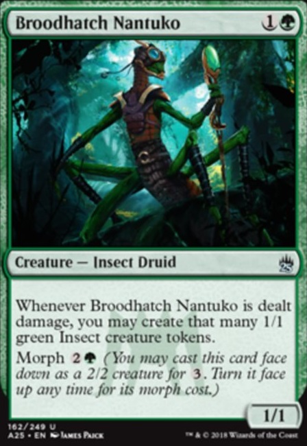 Featured card: Broodhatch Nantuko