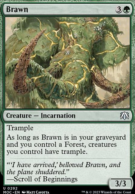 Featured card: Brawn