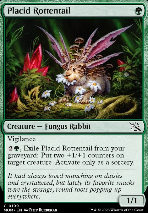 Featured card: Placid Rottentail