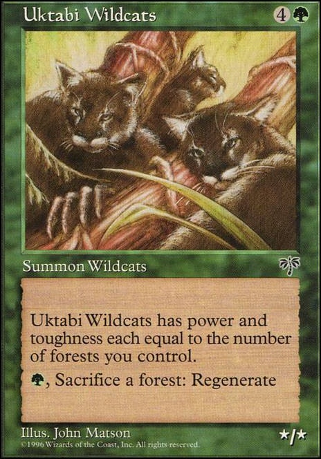 Uktabi Wildcats feature for Jungle Cats