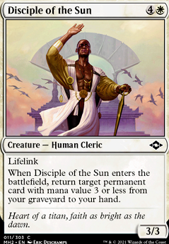 Disciple of the Sun