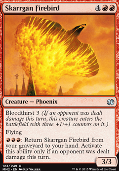 Skarrgan Firebird