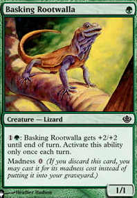 Basking Rootwalla