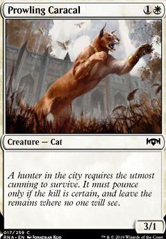 Featured card: Prowling Caracal