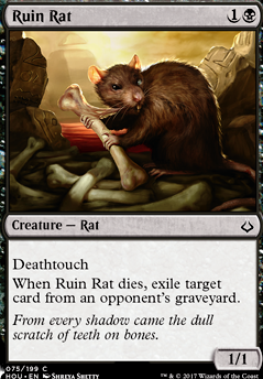 Ruin Rat feature for Rats!