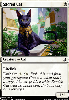 Featured card: Sacred Cat