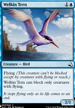 Featured card: Welkin Tern