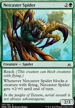 Featured card: Netcaster Spider