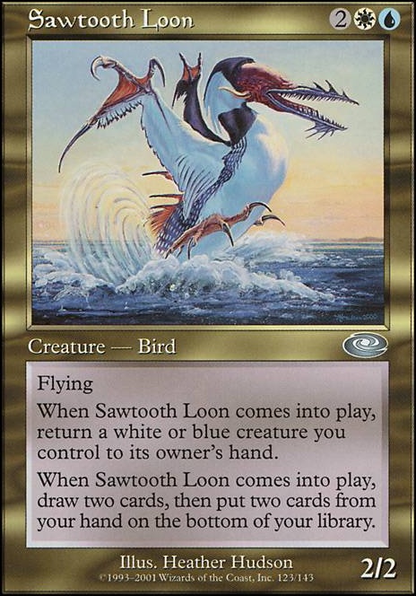 Sawtooth Loon