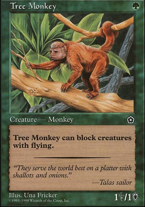 Baby Monkey Goes Apeshit