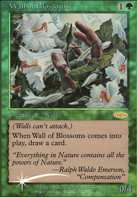 Wall of Blossoms