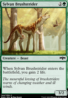 Featured card: Sylvan Brushstrider