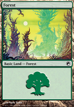 Forest