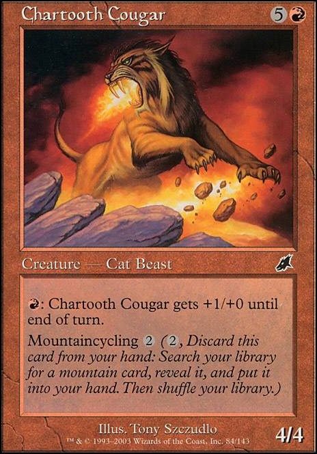 Chartooth Cougar