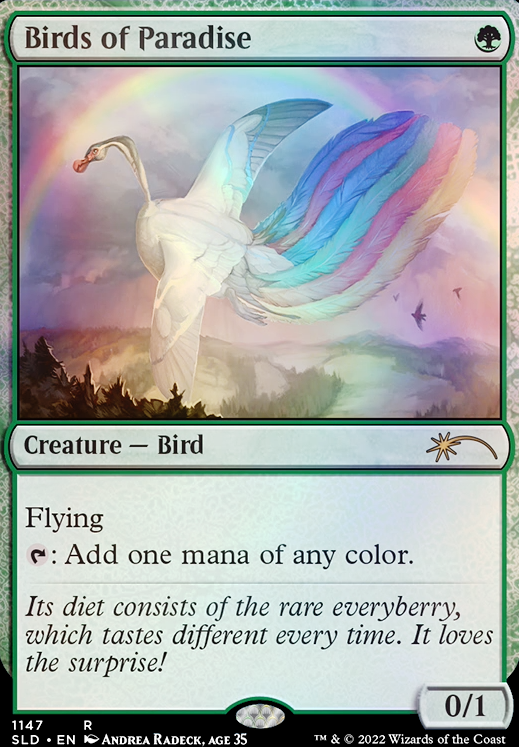 Featured card: Birds of Paradise