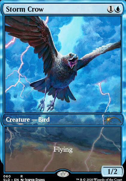 Storm Crow feature for Common Crow W