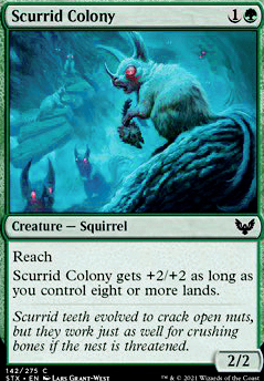 Scurrid Colony