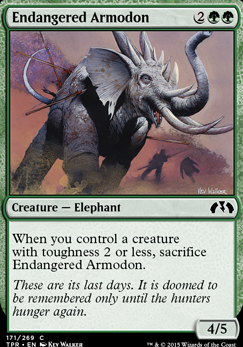 Featured card: Endangered Armodon