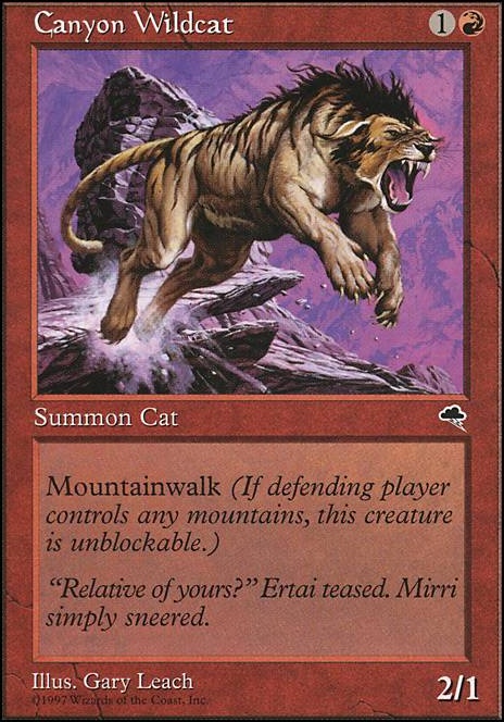 Featured card: Canyon Wildcat