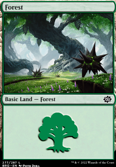 Featured card: Forest