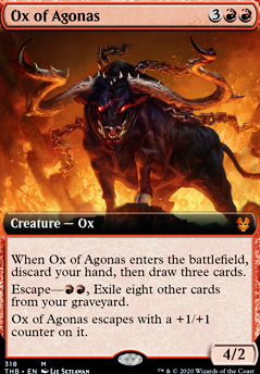 Ox of Agonas