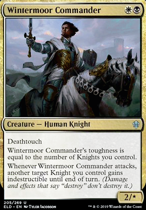 Extended Art Worthy Knight Near Mint Normal English Throne of Eldraine Card MTG 