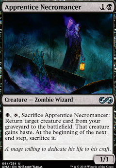 Apprentice Necromancer