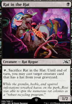 Rat in the Hat