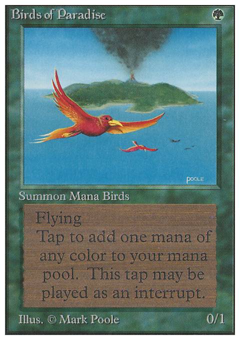 Featured card: Birds of Paradise