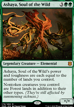 Ashaya, Soul of the Wild feature for Ashaya’s Landstorm