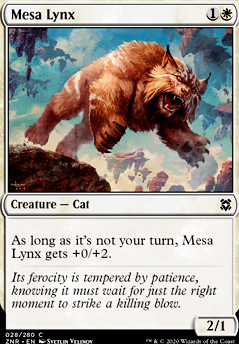 Mesa Lynx feature for Cats and Healin'