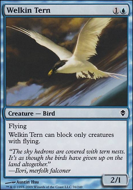 Featured card: Welkin Tern