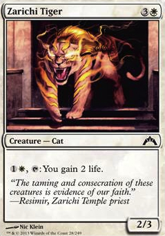 Zarichi Tiger feature for The cat deck