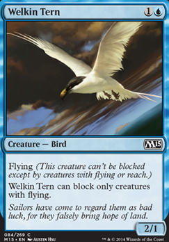 Welkin Tern